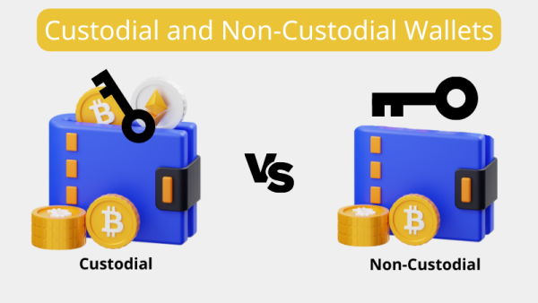 Carteira com custódia versus carteira sem custódia