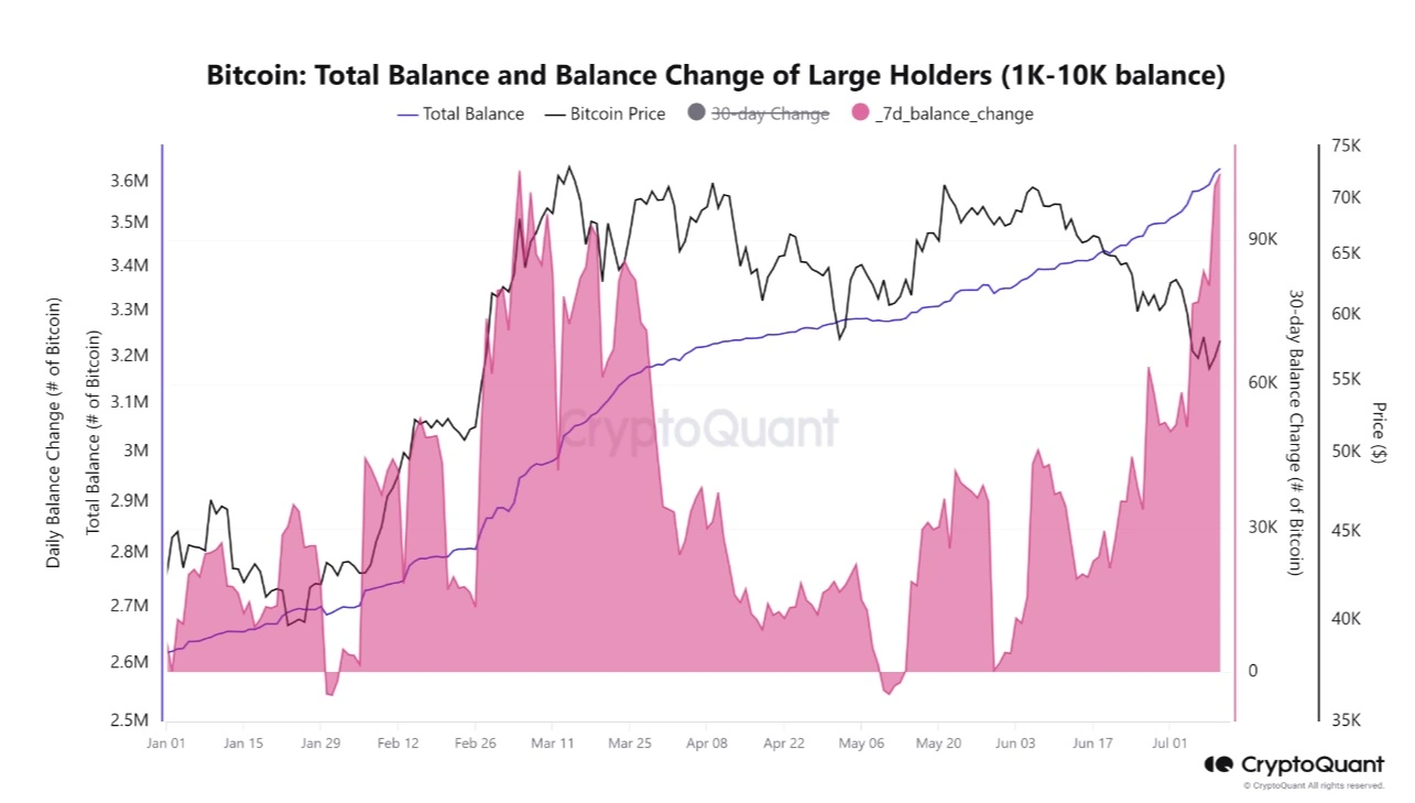 alteração-do-saldo-diário-de-Bitcoin